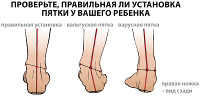 ru_postawa_2.png