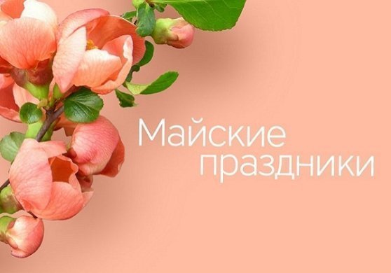 Режим работы салонов “Техника Здоровья” в майские праздники